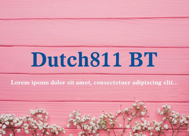 Dutch811 BT example